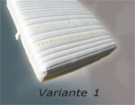 Variante 1